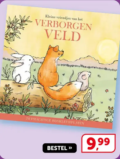 Promotie: Kleine vriendjes van het Verborgen Veld - cozy kleurboek