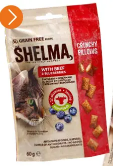 Promotie: Crunchy Pillows