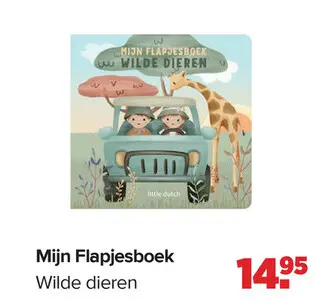 Aanbieding: Mijn Flapjesboek