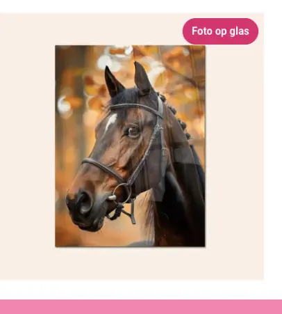 Aanbieding: Foto op glas