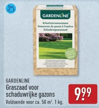 Aanbieding: Graszaad voor schaduwrijke gazons