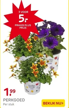 Aanbieding: PERKGOED