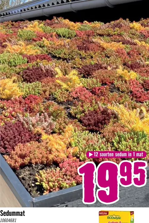 Aanbieding: Sedummat 50x30 cm