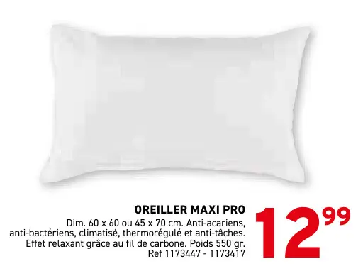 Offre: Oreiller maxi pro