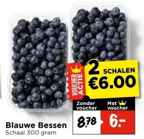 Blauwe Bessen