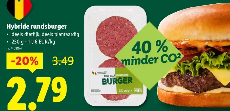 Promotie: Hybride rundsburger