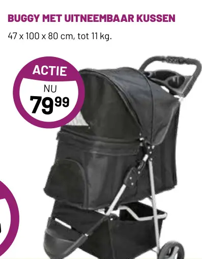Aanbieding: Buggy met uitneembaar kussen
