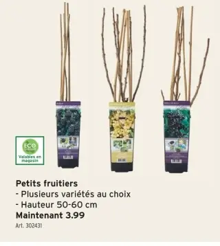 Offre: petit fruitiers
