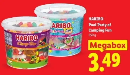 Aanbieding: Pool Party of Camping Fun