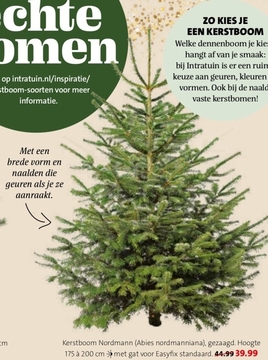 Aanbieding: Kerstboom Nordmann