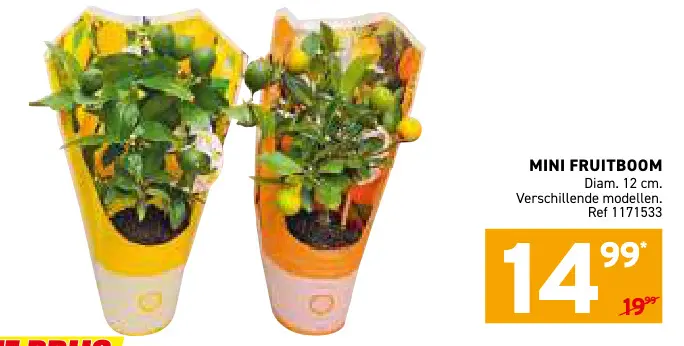 Promotie: Mini fruitboom