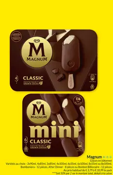 Offre: Magnum