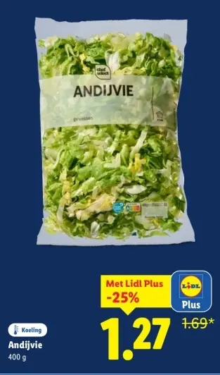 Aanbieding: Andijvie