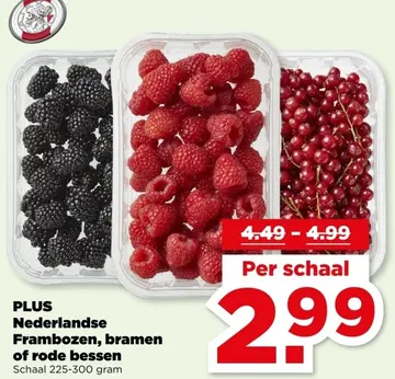 Aanbieding: Nederlandse Frambozen, bramen of rode bessen