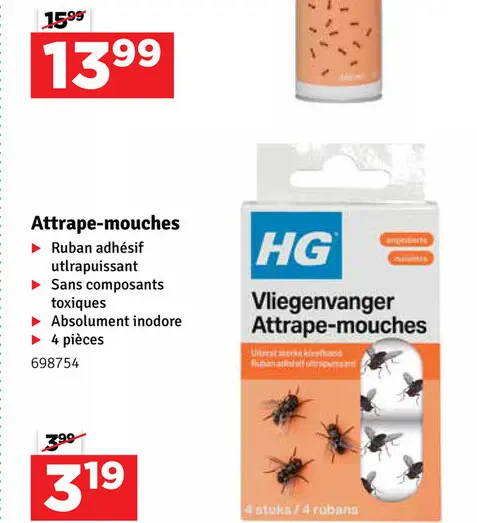 Offre: Attrape-mouches