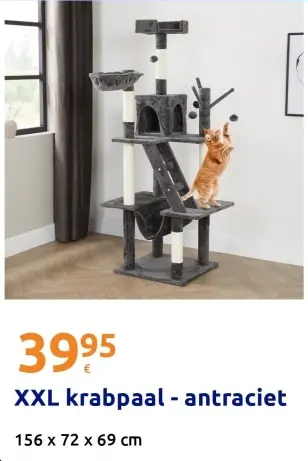 Aanbieding: XXL krabpaal - antraciet