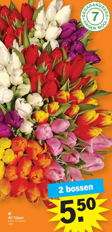 Promotie: Tulpen