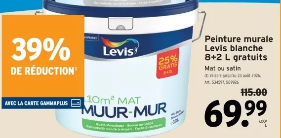 Offre: Peinture murale
