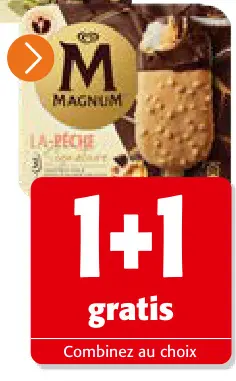 Offre: Magnum La Pêche