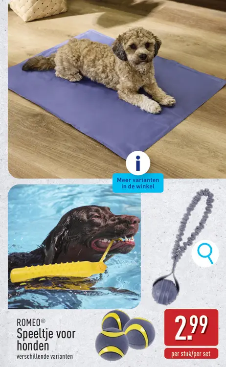 Promotie: Bal voor honden