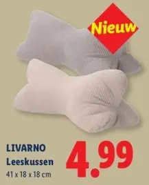 Aanbieding: Leeskussen