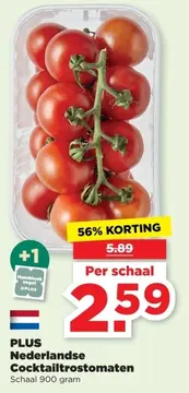 Aanbieding: Nederlandse Cocktailtrostomaten