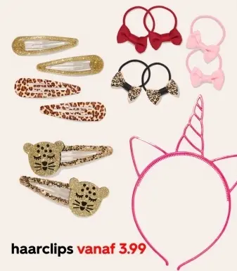 Aanbieding: haarclips