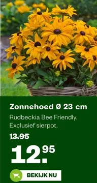 Aanbieding: Zonnehoed