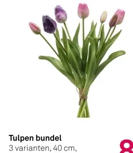Aanbieding: Tulpen bundel