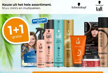 Aanbieding: Taft & Syoss Schwarzkopf hele assortiment