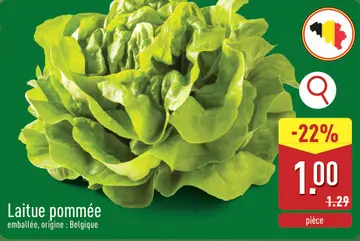 Offre: Laitue pommée