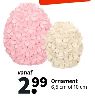 Promotie: Ornament