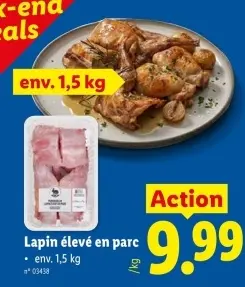 Offre: Lapin élevé en parc