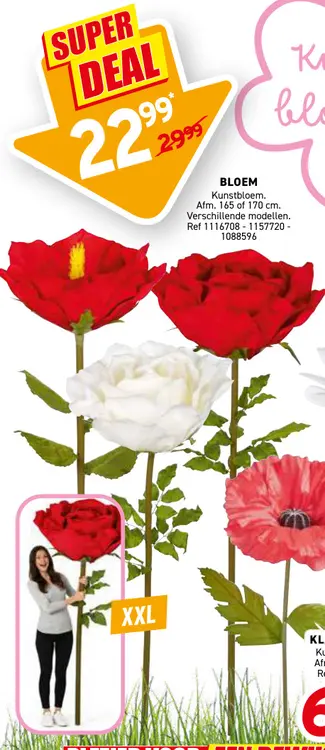 Promotie: XXL Bloemen