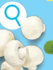 Promotie: Fijne champignons