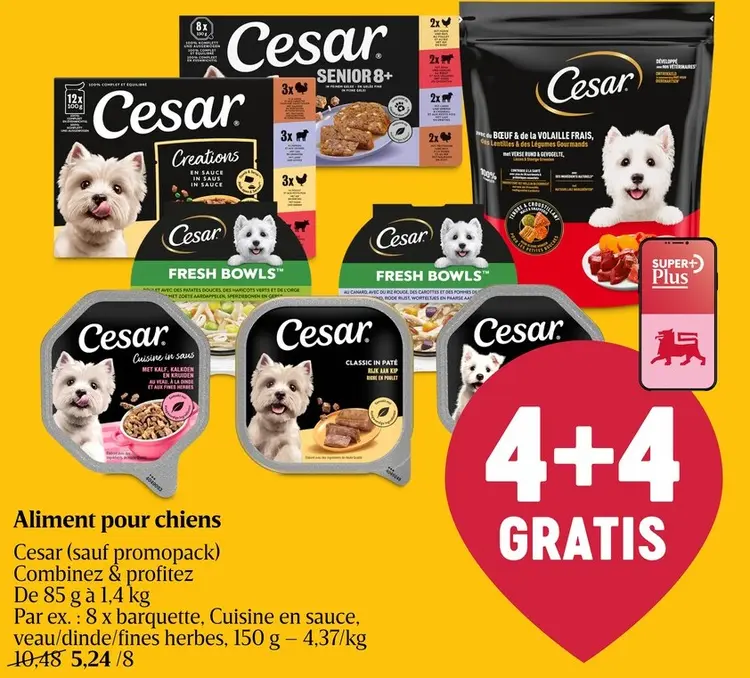 Offre: Aliment pour chiens