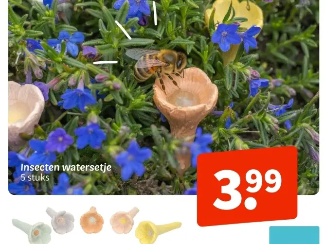 Promotie: Insecten watersetje