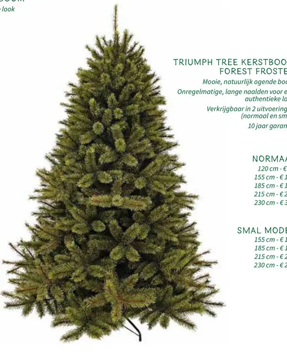 Promotie: Kerstboom forest froste