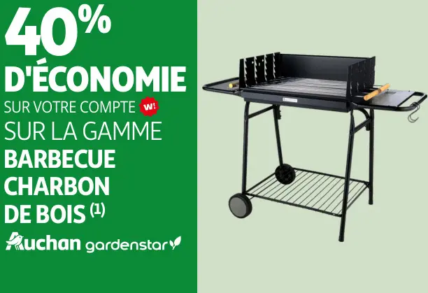 Offre: Barbecue charbon de bois