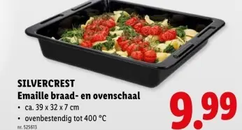 Promotie: Emaille braad- en ovenschaal