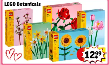 Offre: LEGO Botanicals