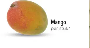 Aanbieding: Mango