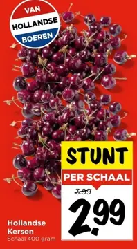 Aanbieding: Hollandse Kersen
