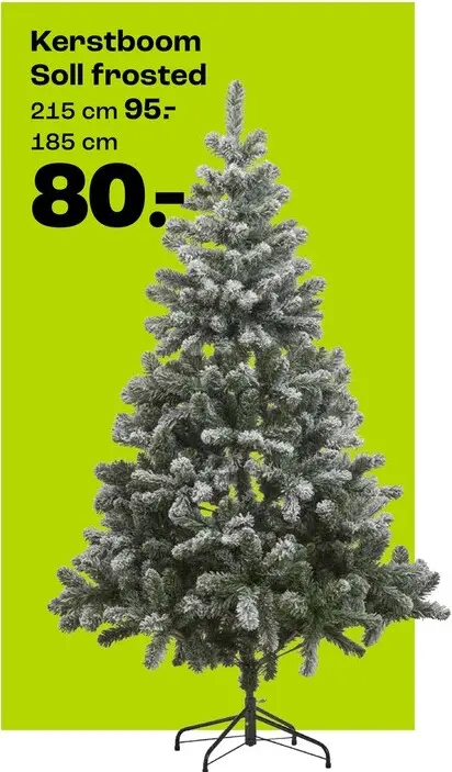Promotie: Kerstboom Soll Frosted