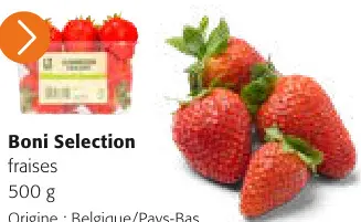 Offre: Fraises