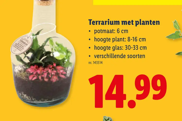 Promotie: Terrarium met planten