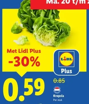 Aanbieding: Kropsla
