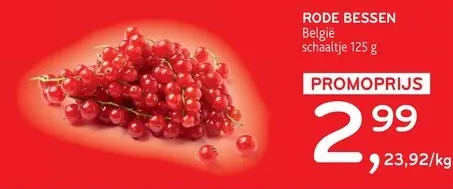 Promotie: Rode bessen