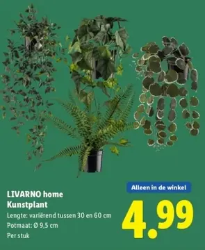 Aanbieding: Kunstplant