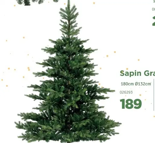 Offre: Sapin Grandis